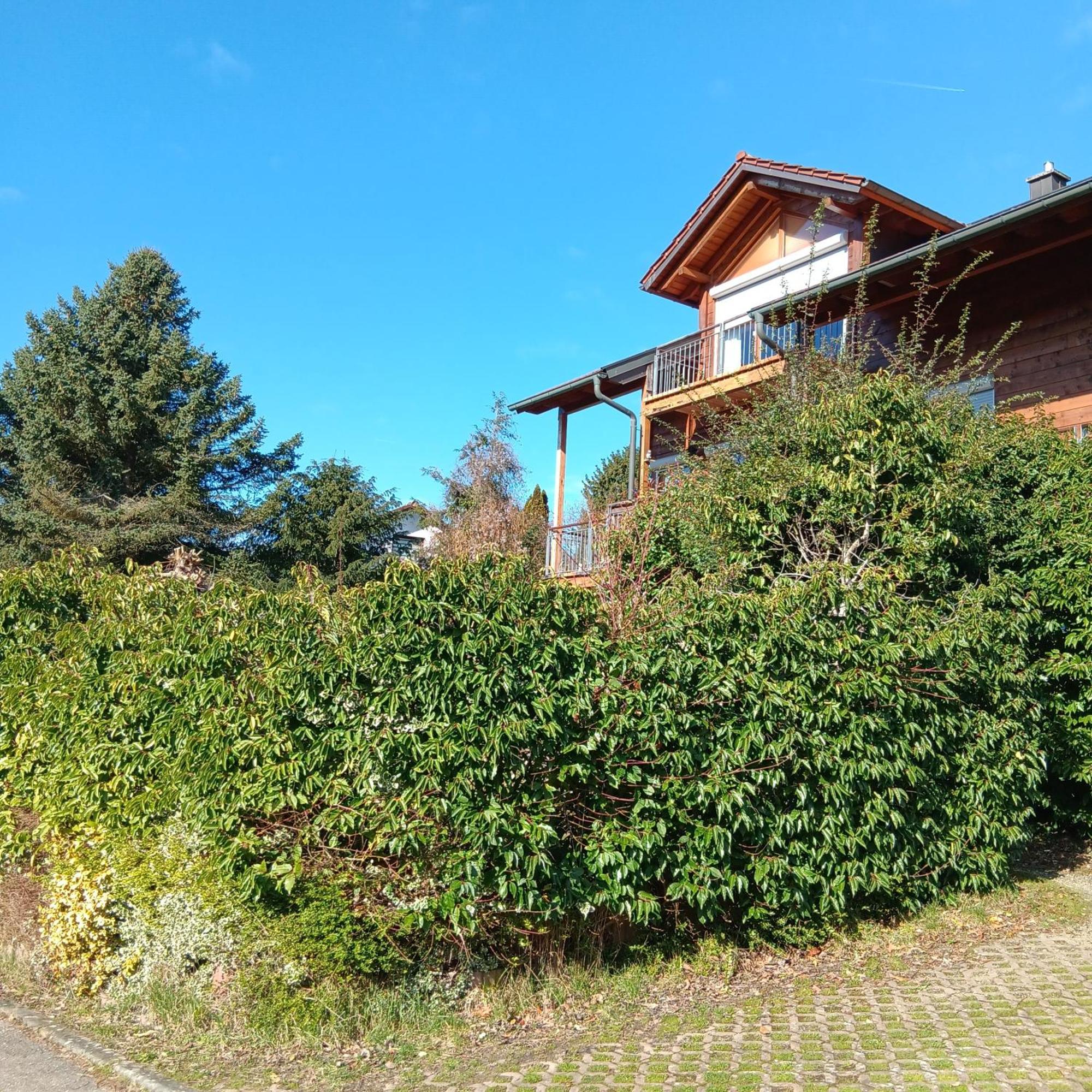 Gartenapartment Auf Der Hoeri In Wangen Ohningen Exterior photo